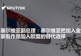 塞尔维亚中场崭露头角成为国家栋梁的简单介绍